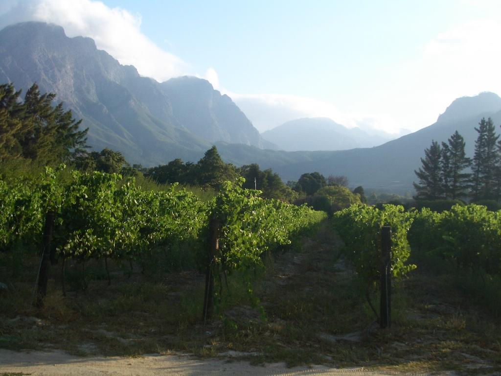 La Verdure Fruit Farm Franschhoek Pokój zdjęcie