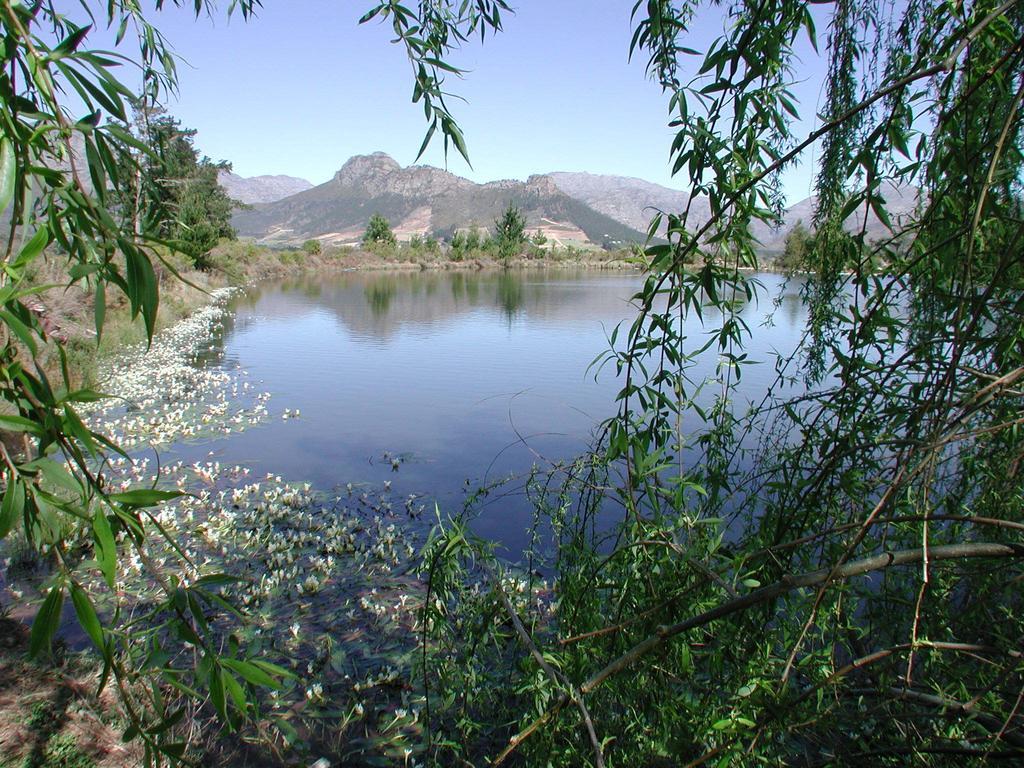 La Verdure Fruit Farm Franschhoek Pokój zdjęcie